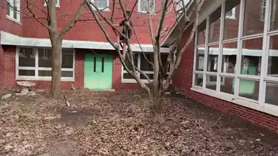 Leaf-filled courtyard between brick wings with green doors and a white canopy